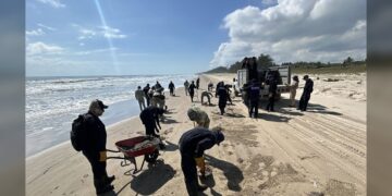 Senado exige claridad sobre derrame petrolero y daños ambientales en costas mexicanas