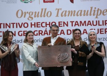 “Tamaulipas está en su mejor momento”: AVA