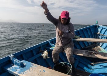 Buscan visibilizar a mujeres pescadoras en Tamaulipas ante condiciones de pobreza