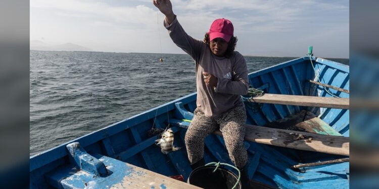 Buscan visibilizar a mujeres pescadoras en Tamaulipas ante condiciones de pobreza