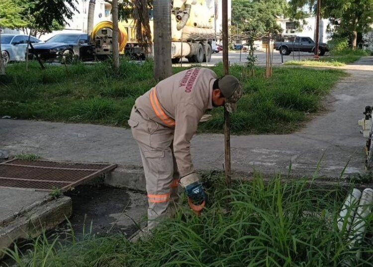 COMAPA Altamira apoya en labores de limpieza de drenes