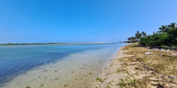 Continúa Profepa operativos en costas de Tamaulipas por presencia de hidrocarburos