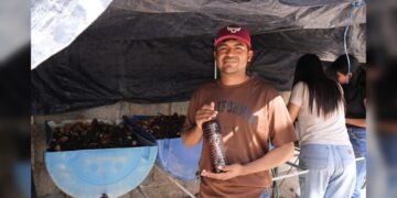 Desarrolla la UAT biofertilizantes líquidos a partir de lombricomposta