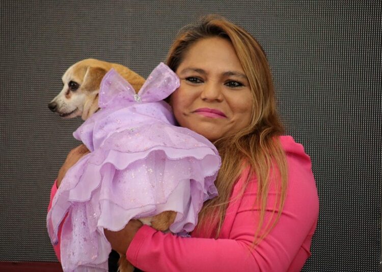 Distingue Cabildo victorense a rescatista de animales