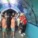 Gobierno y DIF NLD anuncia shows y actividades del ‘Festival del Día del Niño 2026’