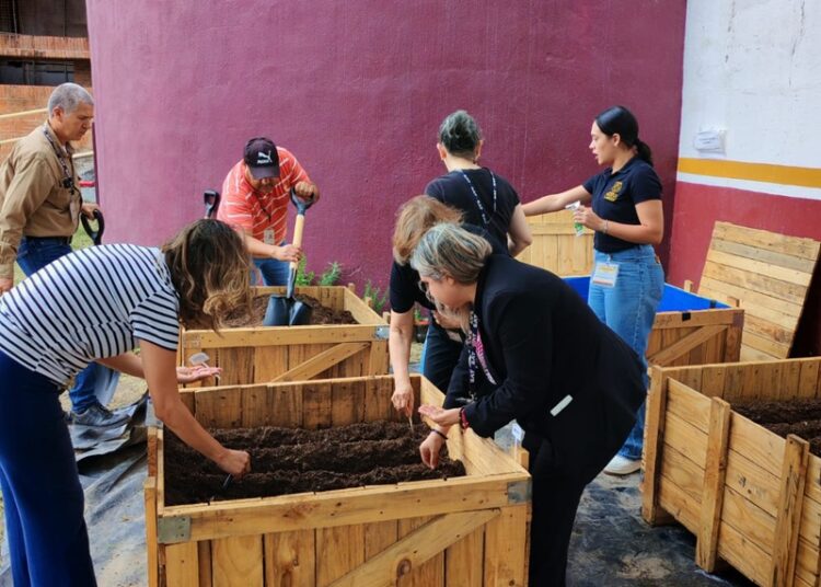 Impulsa NLD la educación ambiental con instalación de ‘Huerto Urbano’ en el SAT