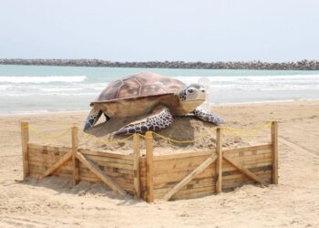 Instala Gobierno de Altamira gran figura de ‘Tortuga Lora’ en playa Tesoro