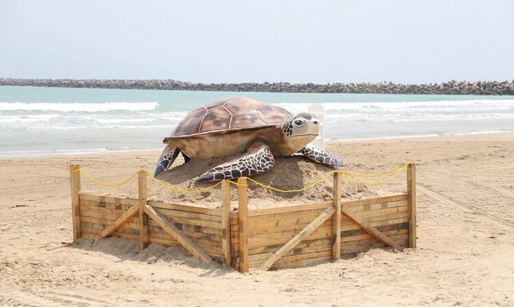 Instala Gobierno de Altamira gran figura de ‘Tortuga Lora’ en playa Tesoro