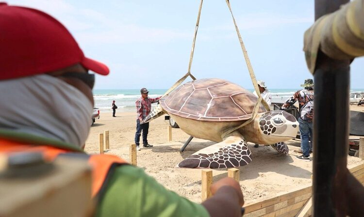 Instala Gobierno de Altamira gran figura de ‘Tortuga Lora’ en playa Tesoro