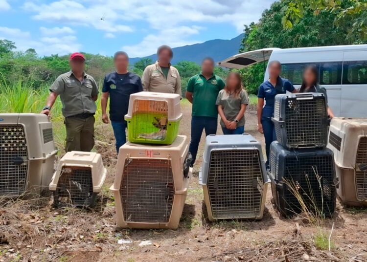 Liberan animales en la ‘Reserva de la Biosfera El Cielo’ en Tamaulipas