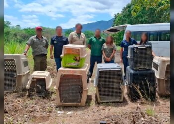 Liberan animales en la ‘Reserva de la Biosfera El Cielo’ en Tamaulipas
