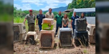 Liberan animales en la ‘Reserva de la Biosfera El Cielo’ en Tamaulipas
