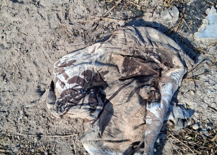 Localiza colectivo más restos humanos en Reynosa