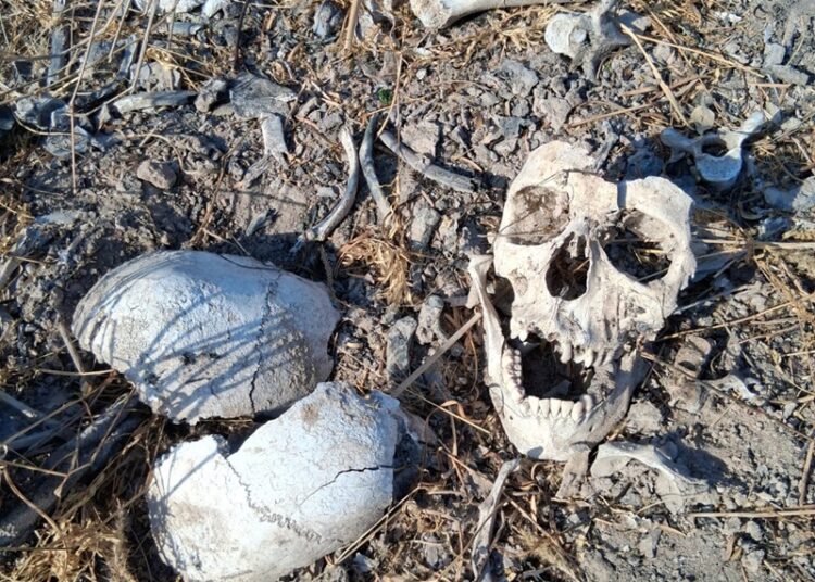 Localiza colectivo más restos humanos en Reynosa