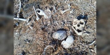 Localiza colectivo más restos humanos en Reynosa