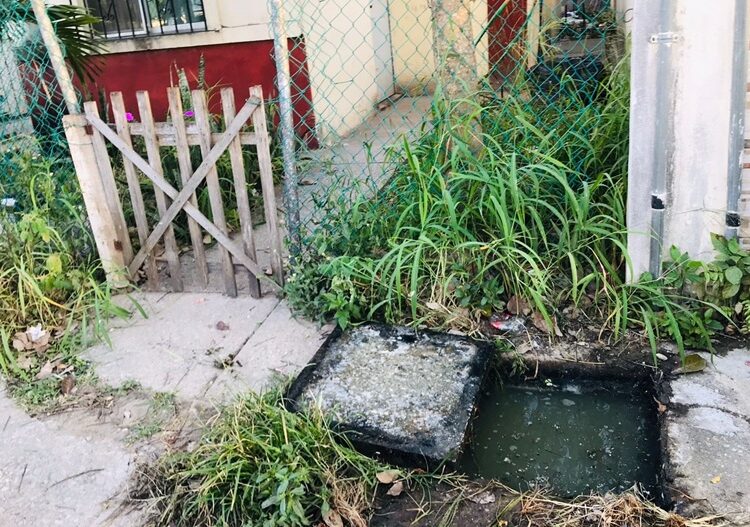 Mejora COMAPA Altamira funcionamiento de descargas sanitarias