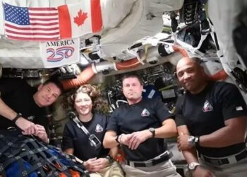 Los astronautas de ‘Artemis II’ regresaron a la Tierra