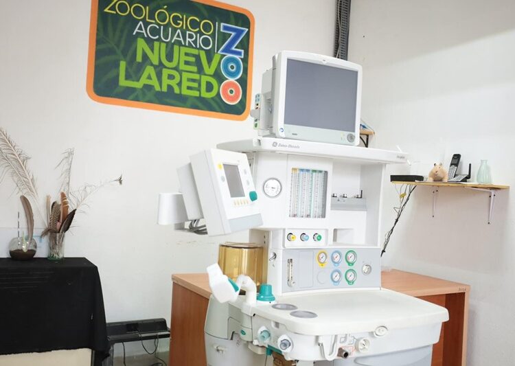 Refuerzan atención veterinaria en el Zoo de NLD con nuevo equipo especializado