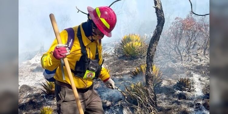 Obligan a gasolineras de Tamaulipas a reportar cada año su impacto ambiental