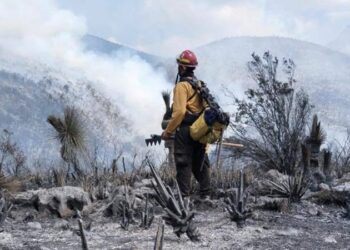 Obligan a gasolineras de Tamaulipas a reportar cada año su impacto ambiental