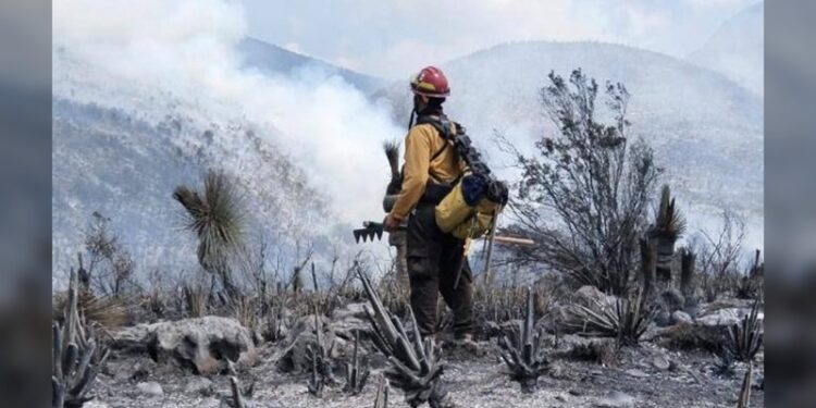 Obligan a gasolineras de Tamaulipas a reportar cada año su impacto ambiental