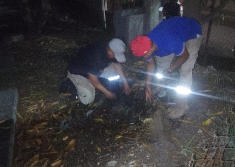 Arregla COMAPA Altamira fugas de agua en diferentes colonias