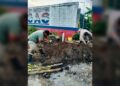 Arregla COMAPA Altamira fugas de agua en diferentes colonias
