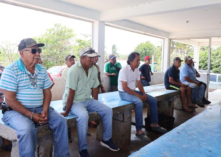 Exhortan a fortalecer proyecto de granjas de ostión en ‘Barra del Tordo’