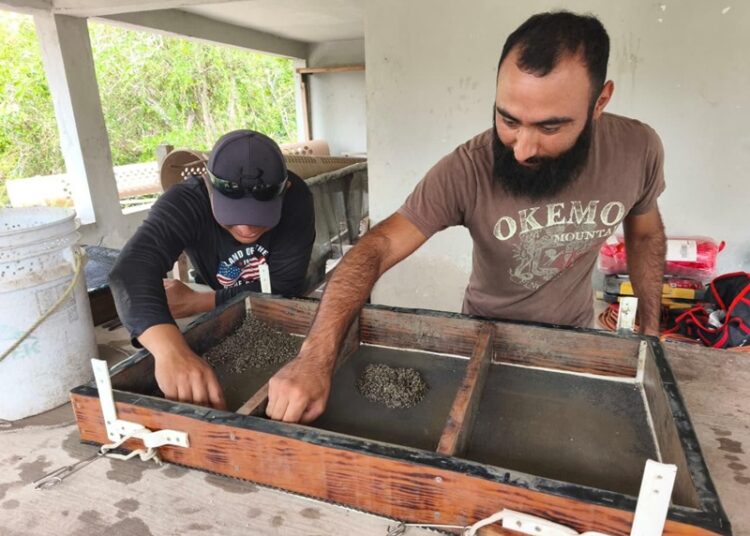 Fortalece Gobierno de Tamaulipas desarrollo acuícola en el litoral tamaulipeco