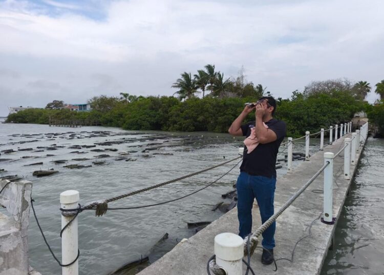 Fortalece Gobierno de Tamaulipas desarrollo acuícola en el litoral tamaulipeco