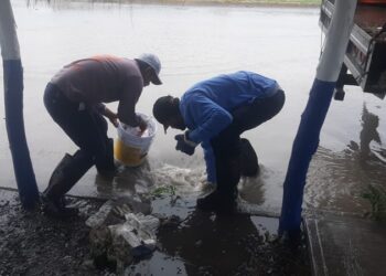 Fuertes lluvias acumulan 2.5 pulgadas de agua en Matamoros