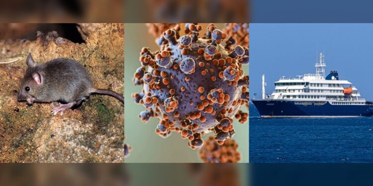 Advierte OMS posibles nuevos casos de ‘hantavirus’ en los próximos días
