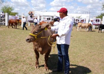 Invita Gobierno de NLD a participar en el 2.º ‘Concurso del Novillo Gordo’