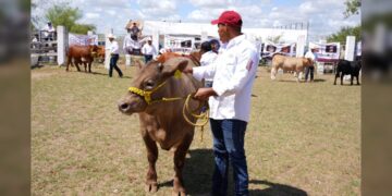 Invita Gobierno de NLD a participar en el 2.º ‘Concurso del Novillo Gordo’