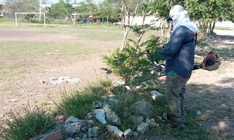 Limpieza de espacios públicos en Victoria es permanente