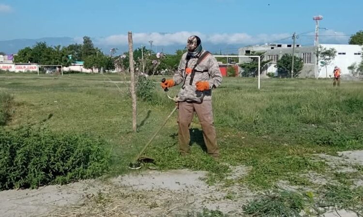 Limpieza de espacios públicos en Victoria es permanente