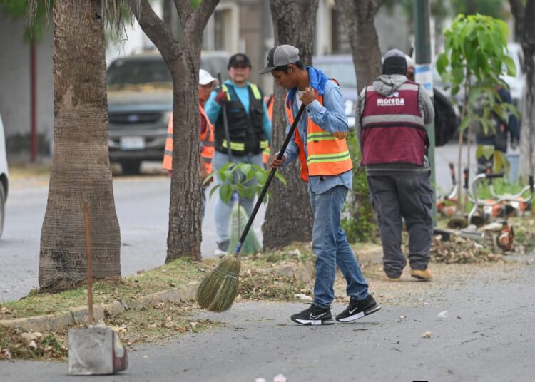 Limpieza de espacios públicos en Victoria es permanente