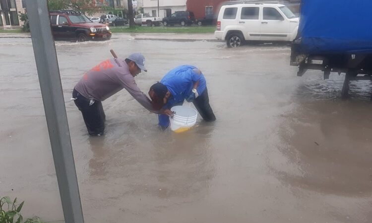 Lluvias atípicas dejaron casi 4 pulgadas de precipitación y activaron plan de contingencia municipal