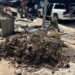Mantiene Ayuntamiento de Altamira acciones preventivas en drenes pluviales