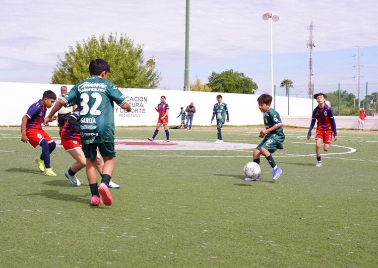 NLD celebra con éxito el “Mundialito NLD 2026” en la UDBJ