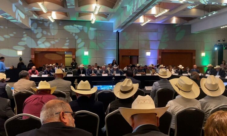 Participa Tamaulipas en reunión binacional para fortalecer sanidad pecuaria