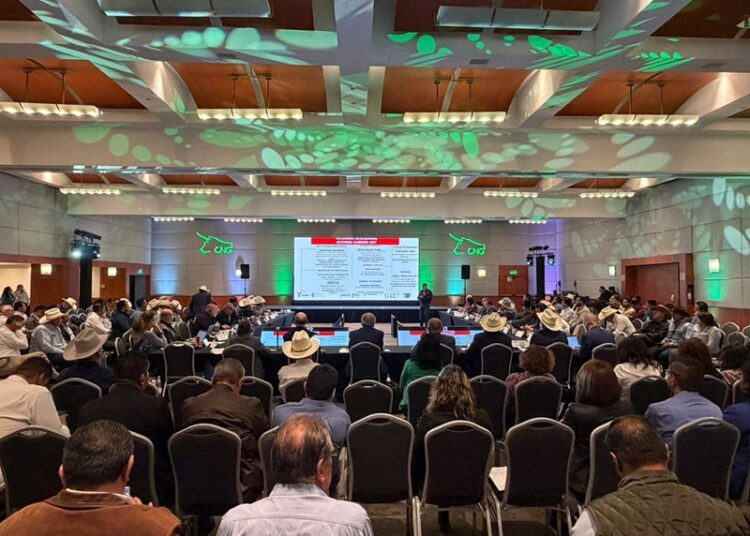 Participa Tamaulipas en reunión binacional para fortalecer sanidad pecuaria