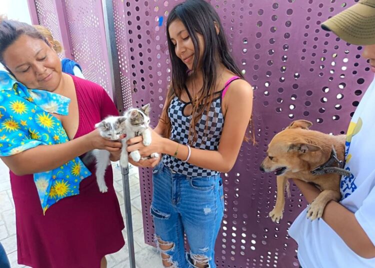 Promueve DIF Tamaulipas el cuidado responsable de las mascotas
