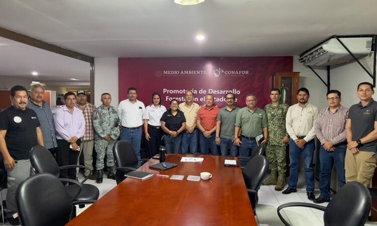 Refuerza Tamaulipas  estrategia interinstitucional contra incendios forestales