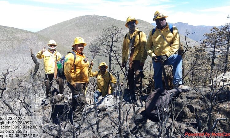 Refuerza Tamaulipas  estrategia interinstitucional contra incendios forestales