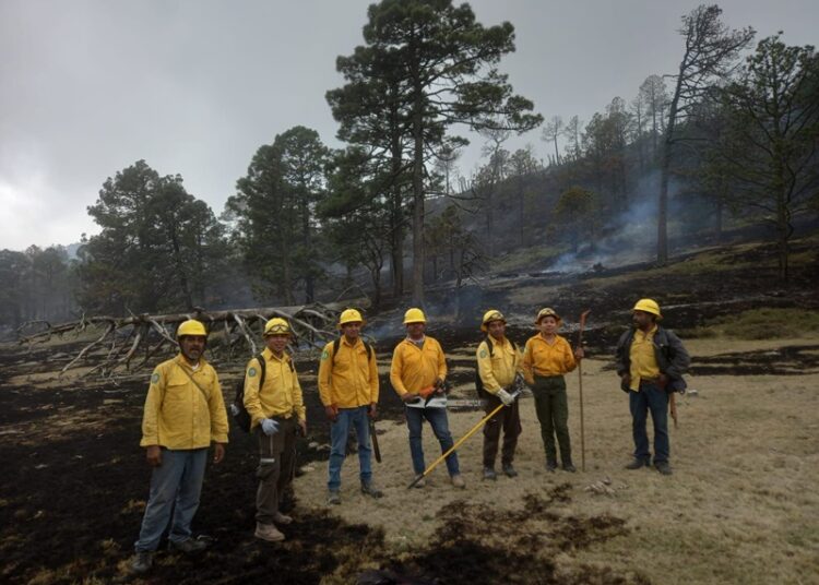 Refuerza Tamaulipas  estrategia interinstitucional contra incendios forestales