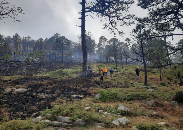 Refuerza Tamaulipas  estrategia interinstitucional contra incendios forestales