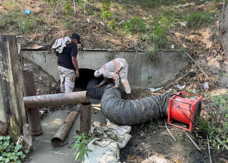 Repara COMAPA Altamira líneas de conducción y fugas de agua en diferentes sectores