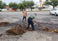 Reporta PC saldo blanco por lluvias en Victoria