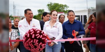Transforma NLD vialidades en colonias Leyes de Reforma, Constitucional, Toboganes y Constituyentes